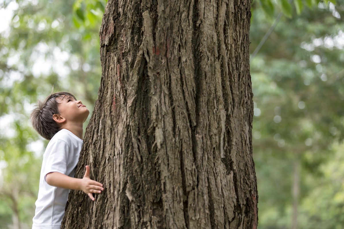 Co to jest ISO14001 system zarządzania środowiskowego?